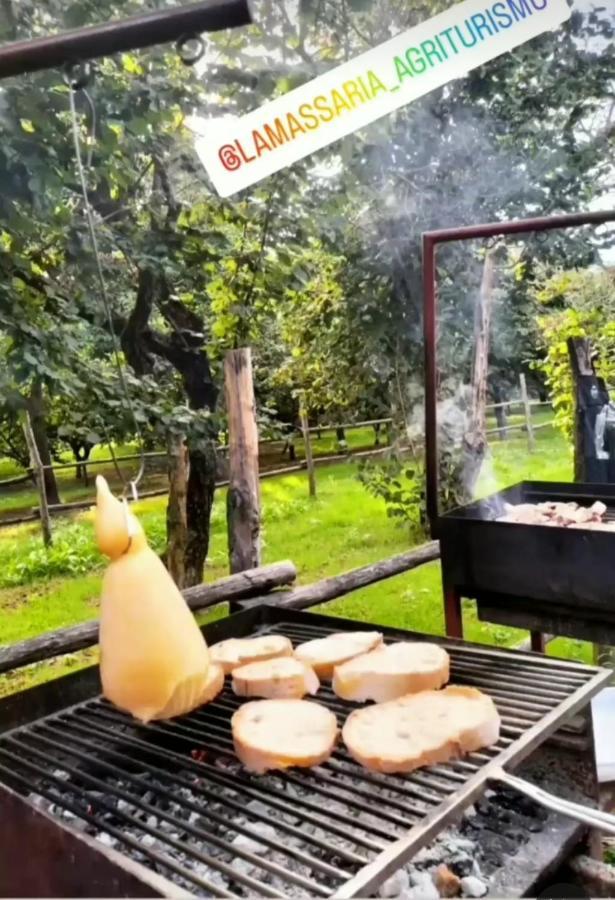 La Massaria Bed & Breakfast Avellino Dış mekan fotoğraf