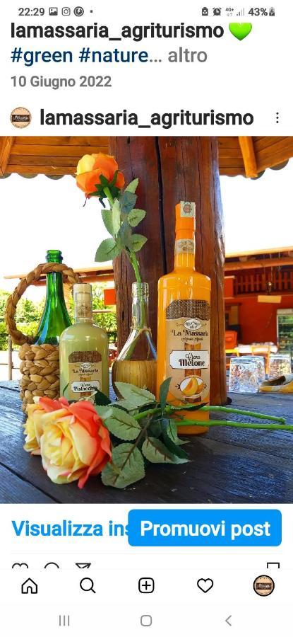 La Massaria Bed & Breakfast Avellino Dış mekan fotoğraf
